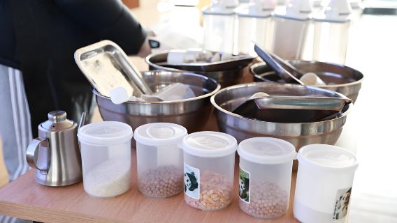 成都大熊貓愛心體驗一日遊（當熊貓保育員，頒發證書）|包車接駁）