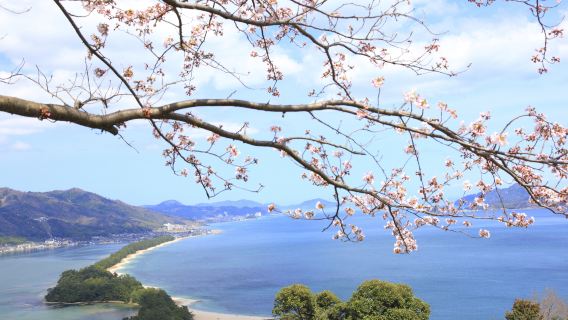 宮津市日遊