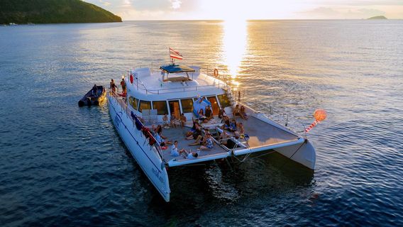 Koh LarnExperiences