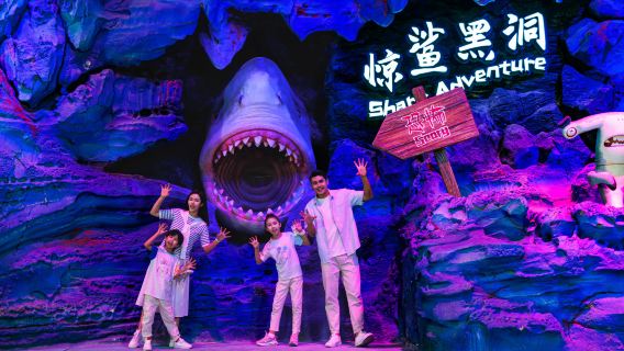 Zhuhai Chimelong Ocean Kingdom/Spaceship Park + Chimelong Show 2 days 1 night/3 days 2 nights ticket + accommodation package|Including Zhuhai Chimelong Yinghai Hotel Apartment|Meals available