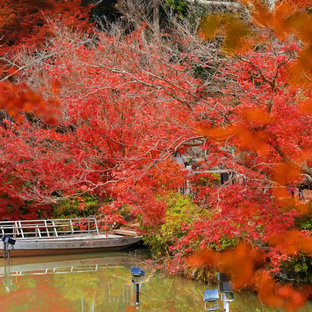 九州日帰りツアー・紅葉鑑賞】太宰府・九年庵・御船山・祐徳稲荷神社