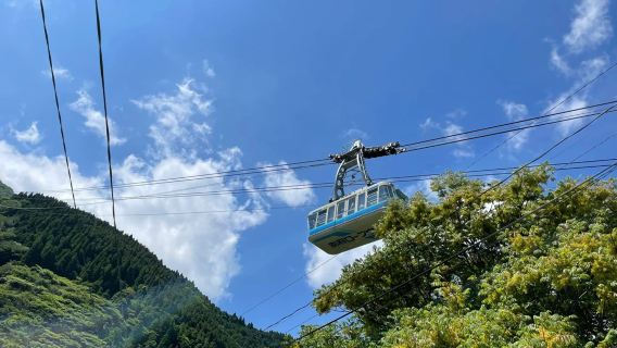 Day Trip to Dazaifu Tenmangu Shrine, Beppu Ropeway, and Yufuin Kinrinko Lake in Oita, Japan