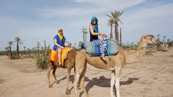 Nei dintorni di Marrakech: giro in cammello tra i palmeti con tè incluso