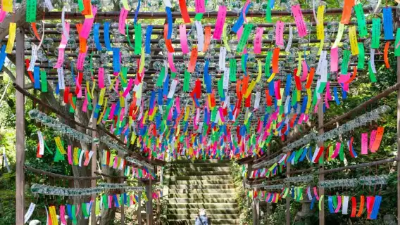 From Fukuoka: Nyoirinji Temple, Beppu Hells and Yufuin