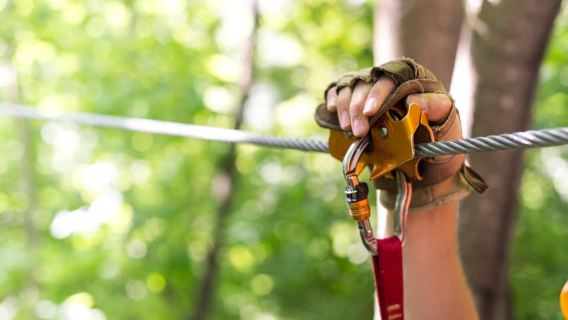 Henderson, Minnesota: 14-Strecken-Zipline-Tour durch die Baumkronen