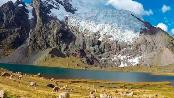 Cusco: Tour de 1 día a las 7 lagunas del Ausangate|con almuerzo|