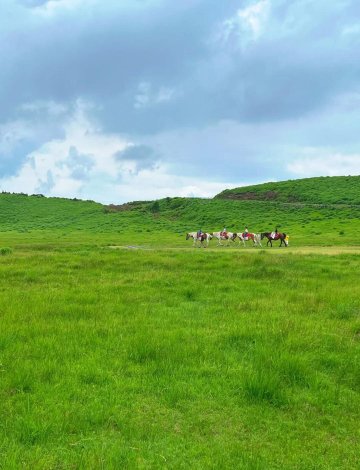 日本熊本+阿蘇山+草千里一日遊/行程可調-可訂製