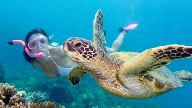 Lawatan Sehari ke Pulau Mataking + Pulau Timba Timba + Pulau Pom Pom + Pulau Pandanan di Semporna, Sabah (Tidak Termasuk Bayaran Masuk Pulau)