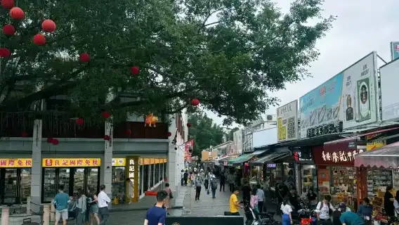 Guangzhou, China—Shenzhen (Dameisha + Xiaomeisha + Chung Ying Street) private charter 1-day tour / customizable itinerary