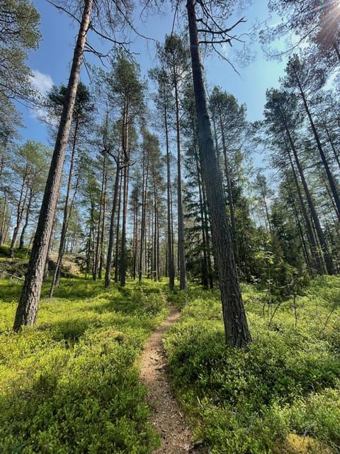 Helsinki: Nuuksio National park hiking with campfire lunch