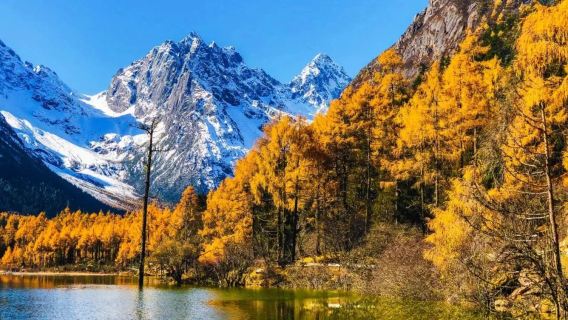 Bipenggou Day Trip [Chengdu Surrounding Area Tour, Light Hiking, Pure Fun with No Shopping, Optional Tibetan Costume Photoshoot]