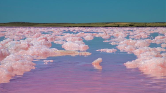 阿德萊德周邊奇趣線：酒香、回音、粉紅湖的一日奇幻冒險