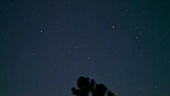 美國洛杉磯來回約書亞樹國家公園+棕櫚泉（選一）定制包車一日遊