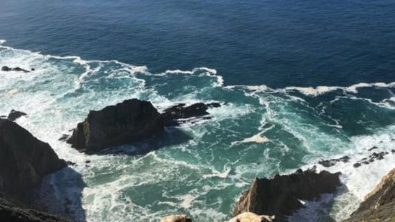 US Route 1 + Los Angeles to San Francisco full route/customizable options - inquire now for exclusive discounts