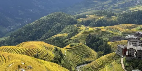廣西桂林蘆笛景區+龍脊梯田風景名勝區一日遊可中英文服務