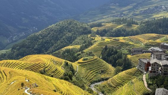 Guilin Reed Flute Cave Attraction + Longji Rice Terraces Scenic Area 1-day tour with English service available