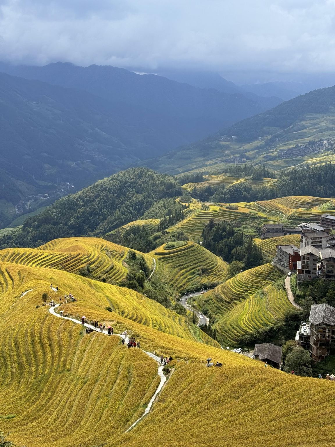 Guilin Reed Flute Cave Attraction + Longji Rice Terraces Scenic Area 1-day tour with English service available