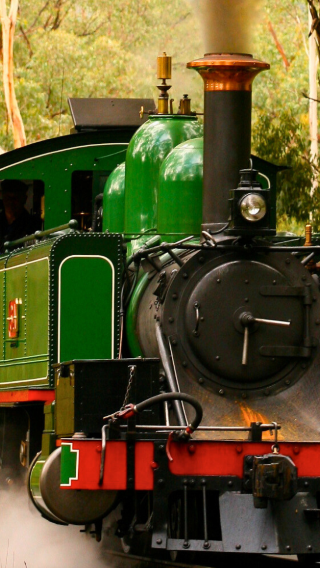 Half-Day Tour to Puffing Billy Railway in Melbourne, Australia [Quick Visit/Round-Trip from City]