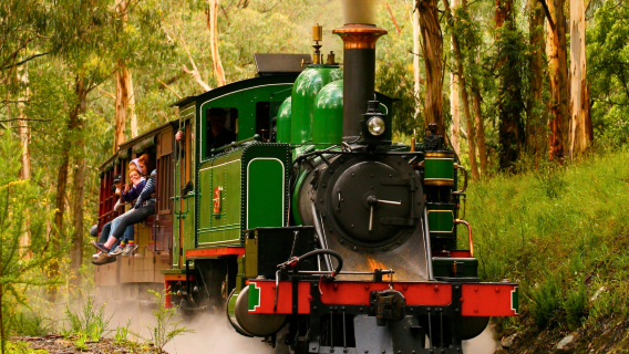 Half-Day Tour to Puffing Billy Railway in Melbourne, Australia [Quick Visit/Round-Trip from City]