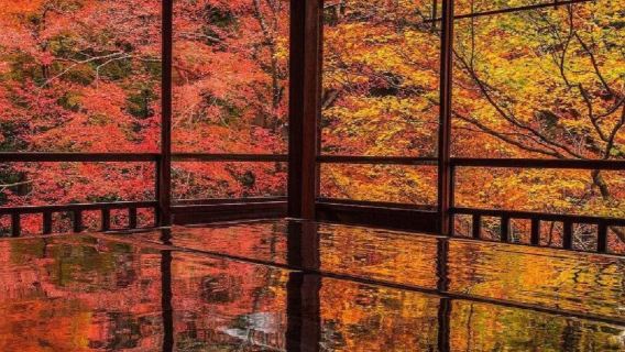 日本京都+三千院+琉璃光院+貴船神社+嵐山-包車特惠