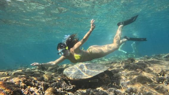 Bali: Fährtransfer nach Gili Trawangan, Gili Air, Lombok