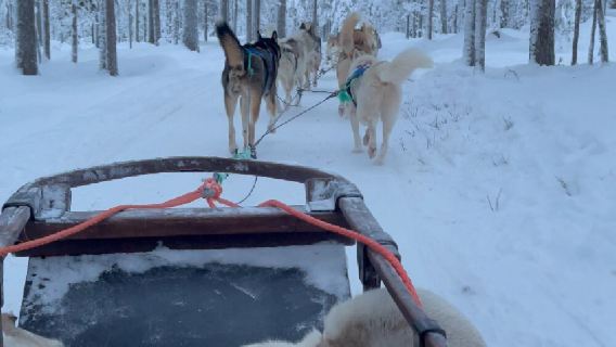 芬蘭羅瓦涅米+森林馴鹿牧場一日遊/行程可調-可訂製多日遊