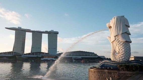 新加坡精華帶車一日遊：老牌持證導遊精講獅城傳奇+聖淘沙
