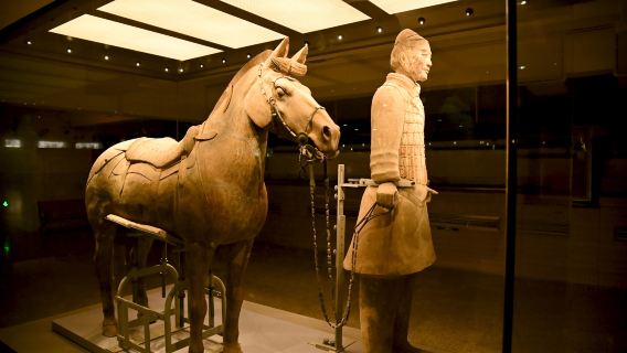 西安一日遊【城牆+鐘鼓樓+回民街+大雁塔+陝西曆史博物館】