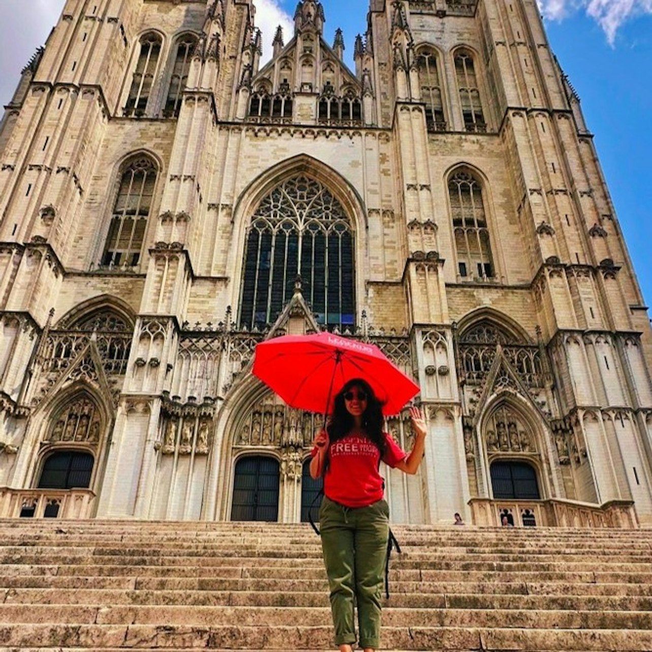 Bruselas: Visita nocturna privada sobre la historia oscura