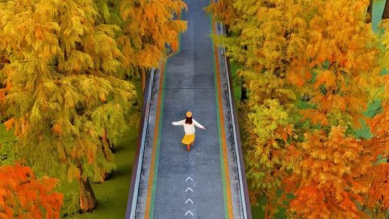 Hangzhou, Cina + Lago Qing Shan + Foresta sull'acqua del Lago Qing Shan/Scopri il magico mondo nascosto del verde