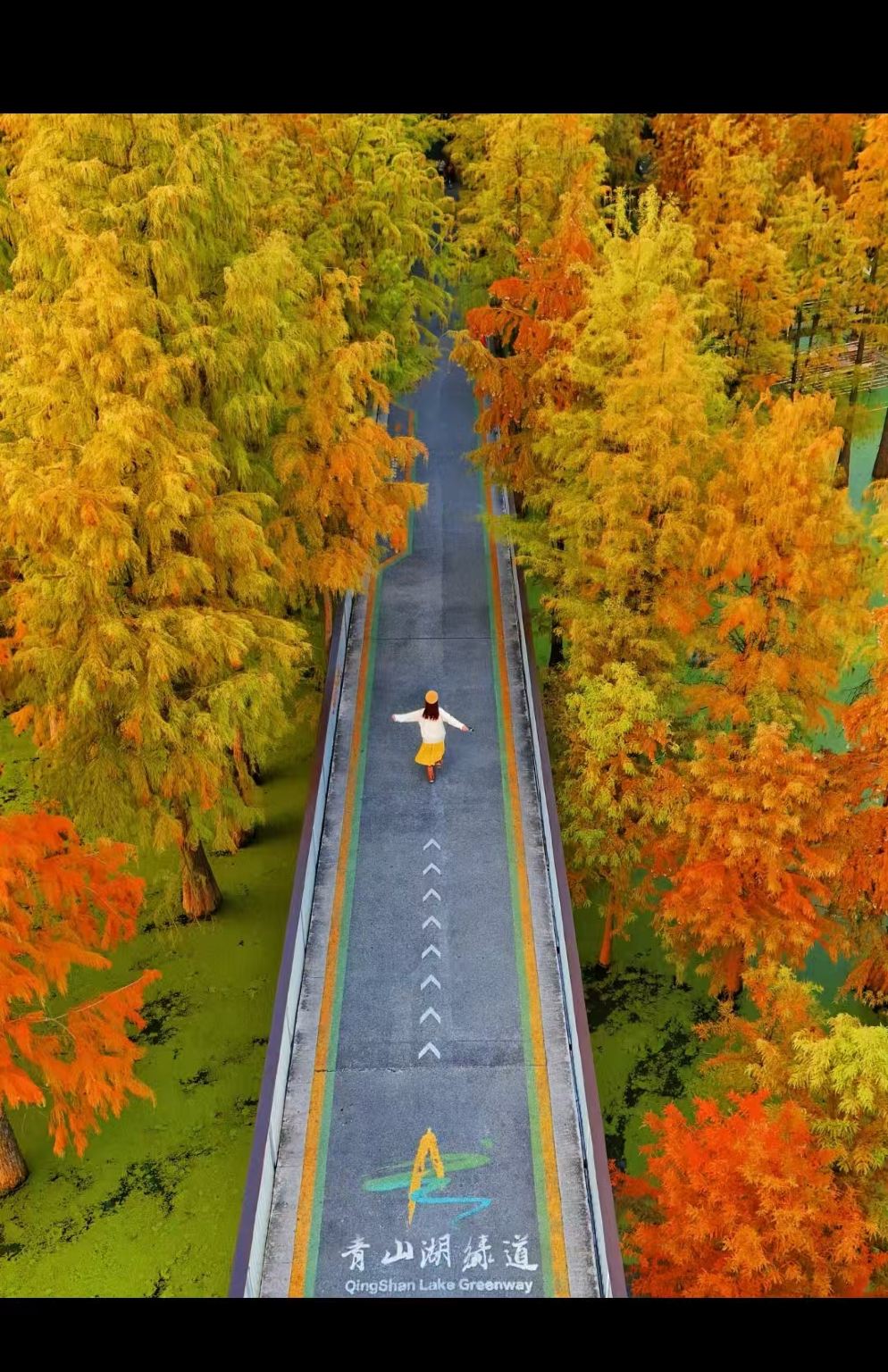 Hangzhou, China + Lago Qing Shan + Bosque Acuático del Lago Qing Shan/Descubre el secreto del País de las Maravillas Verde