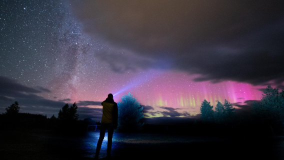 [Professioneller Reiseleiter/Luxus-Teleskop] 90-minütige Sternenbeobachtungserlebnis am Lake Tekapo mit Chameleon