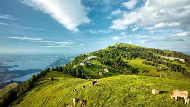 Lawatan sehari ke Gunung Rigi dan Tasik Lucerne di Switzerland (dengan pengangkutan kereta khas berbahasa Cina)