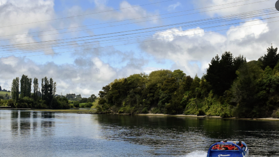 紐西蘭奧克蘭+哈嘿+教堂灣+熱水海灘【中文專車-愜意舒適】