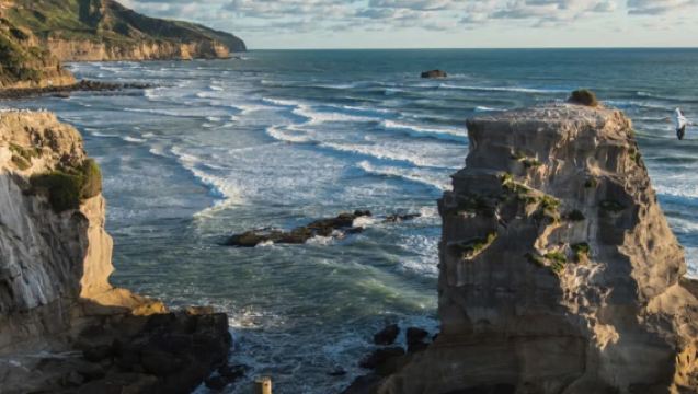 Auckland private charter 1-day tour / adjustable attractions / customized on demand / Chinese-speaking driver-guide / 10-hr service