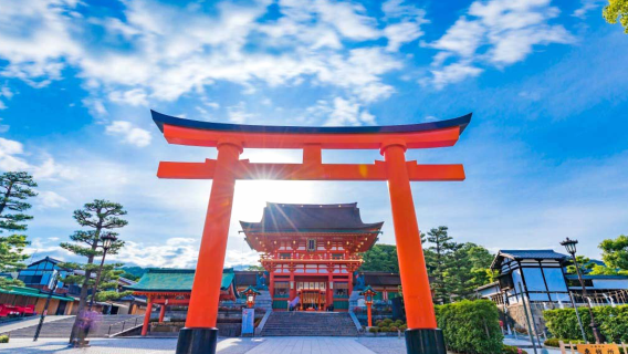 Custom 1-Day Private Charter Tour in Osaka (Optional Destinations: Kyoto/Nara/Kobe)|Hotel transfer