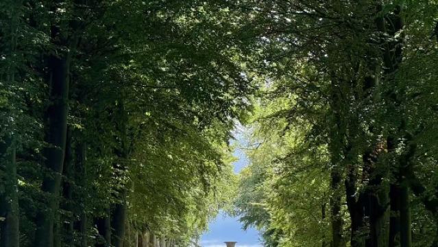 Manchester, Birmingham, Liverpool, Leeds, York, Sheffield, Nottingham - Peak District - Chatsworth House day tour