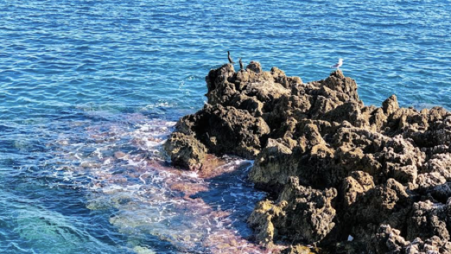 法國馬賽-瓦倫索勒薰衣草-韋爾東峽谷【中文專車-愜意舒適】