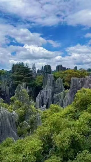 One-day travel service to Shilin Stone Forest Scenic Area and tea tasting in Kunming, Yunnan, China [Private charter option available]