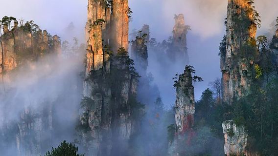 [Great Deal] Zhangjiajie National Forest Park (Avatar) 1-Day Tour - Best Value for Money