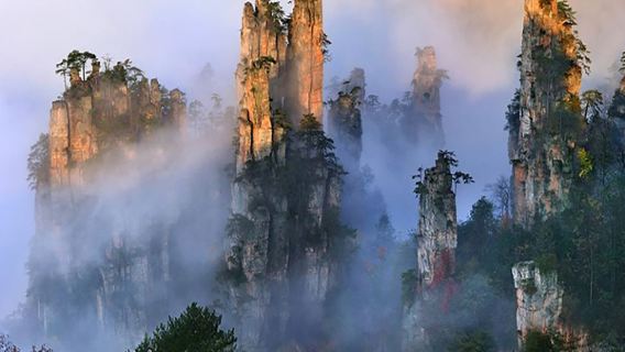 [Super affare] Tour di un giorno al Parco Nazionale Forestale di Zhangjiajie (Avatar) - Massimo rapporto qualità-prezzo
