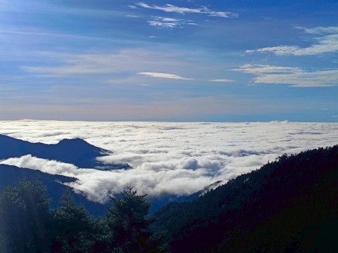 阿里山ワンデーツアー｜雲海茶畑＋部族文化｜阿里山、嘉義市街