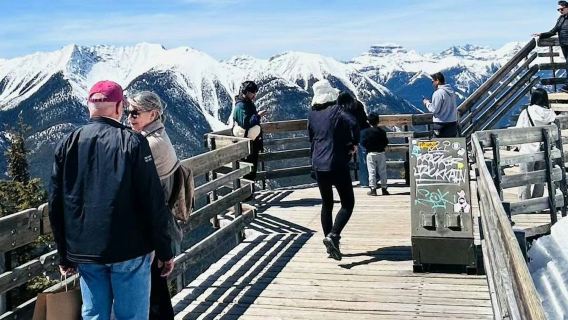 Banff Nationalpark: Johnston Canyon Upper Falls + Eintritt für die Banff Gondola