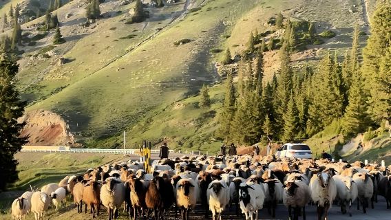 Tur Pribadi Sehari ke Puncak Pemantauan Hemu Altay + Jalan Ahe dengan Antar Jemput dari Pusat Kota