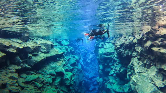 Experiencia de buceo y snorkel de 3 horas en Þingvellir, Reikiavik, Islandia [Experiencia de snorkel de 45 minutos en la fisura de Silfra | Fotos*Equipo de snorkel*Grupo pequeño en inglés]