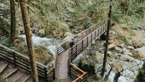 Seattle'den Wallace Şelalesi Yağmur Ormanı ve Şelale Yürüyüş Turu / İngilizce Şoför-Rehber