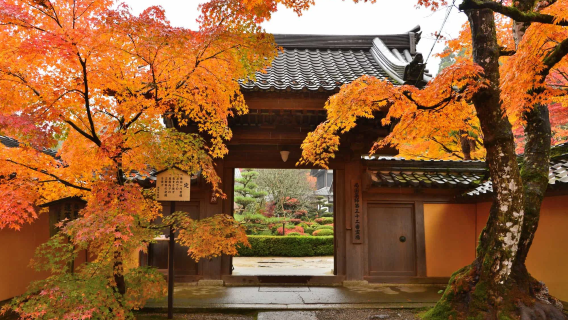 Sewaan peribadi tersuai di Kiyosato-Hakone Jepun, sewaan peribadi bahasa Cina (tidak termasuk tiket masuk)