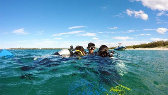Australia: ¡Exclusivo para principiantes! Experiencia de buceo en Gold Coast