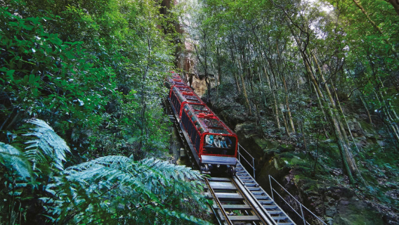 Delt gruppetur til Sydney Blue Mountains damplokomotiv, Blue Mountains Scenic World og Three Sisters