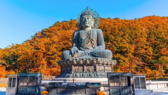 eendaagse tour naar Seoraksan National Park en Nami Island vanuit Seoul